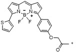 BODIPY TR化学结构